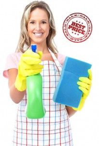 professional cleaner